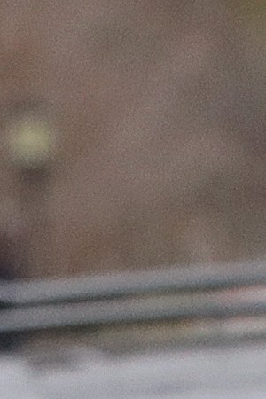 Anita Davila hands out meals for students at Oak Park-River Forest high school who are in the free or reduced lunch program or who are in need on March 20, 2020 in Oak Park,Illinois. Photo by Jonathan Daniel/Getty Images