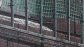 Nearly empty streets during a quarantine drill as a preventive measure against the spread of the COVID-19 on March 20, 2020 in Bogota, Colombia. Photo by Guillermo Legaria/Getty Images