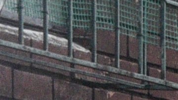 Nearly empty streets during a quarantine drill as a preventive measure against the spread of the COVID-19 on March 20, 2020 in Bogota, Colombia. Photo by Guillermo Legaria/Getty Images