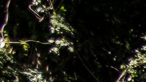 Luis "Arex" Montano of Colombia performs at Favela Cantagalo as local chidren look on prior to the Red Bull BC One breakdancing world final on December 6, 2012 in Rio de Janeiro, Brazil. Photo by Dean Treml/Red Bull via Getty Images