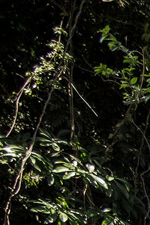 Luis "Arex" Montano of Colombia performs at Favela Cantagalo as local chidren look on prior to the Red Bull BC One breakdancing world final on December 6, 2012 in Rio de Janeiro, Brazil. Photo by Dean Treml/Red Bull via Getty Images
