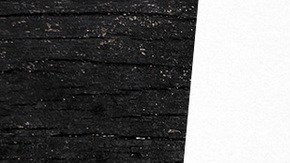 Art by Alan Lopez for Remezcla