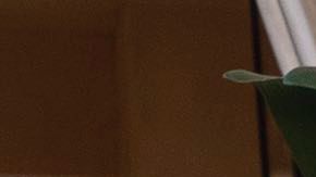 Photo credit: Kevin Estrada. Courtesy of Netflix.