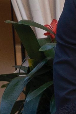 Photo credit: Kevin Estrada. Courtesy of Netflix.