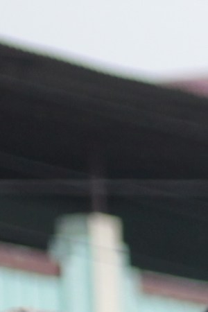 Photo courtesy of Eli Jacobs Fantauzzi.