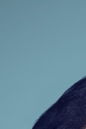 Courtesy of Bold Type Books