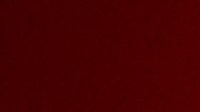 Photo by Katsunari Kawai. Courtesy of the artist