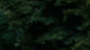 Ariana DeBose in 'West Side Story.' Photo by Niko Tavernise. Courtesy of Twentieth Century Studios.