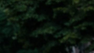 Ariana DeBose in 'West Side Story.' Photo by Niko Tavernise. Courtesy of Twentieth Century Studios.