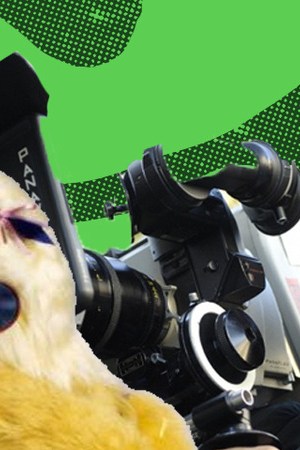 Art by Stephany Torres for Remezcla.