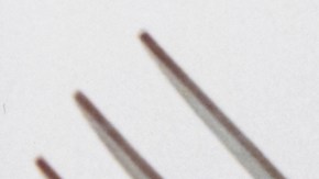 Photo by Hart Leshkina. Courtesy of the artist