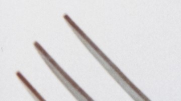 Photo by Hart Leshkina. Courtesy of the artist