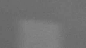 Photo courtesy of Homegrown