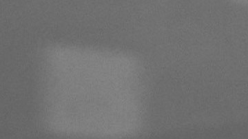 Photo courtesy of Homegrown