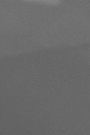 Photo courtesy of Homegrown