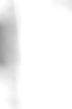 Photo courtesy of Erika Morillo.