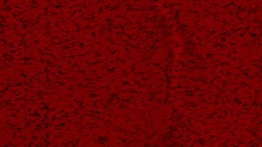 Photo courtesy of the artist