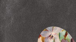 Art by Alán Lopez for Remezcla