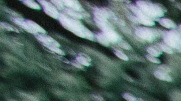 Photo by Jake Hanson. Courtesy of the artist