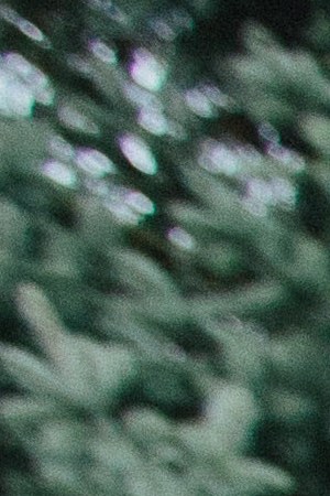 Photo by Jake Hanson. Courtesy of the artist