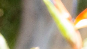 Andy García and Eva Longoria in 'Flipped.' Courtesy of Quibi.