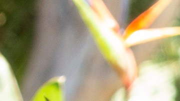 Andy García and Eva Longoria in 'Flipped.' Courtesy of Quibi.