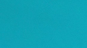 Paloma Elsesser attends Tiffany & Co. Celebrates 2018 Tiffany Blue Book Collection at Studio 525 on October 9, 2018 in New York City.  Photo by Dimitrios Kambouris/Getty Images