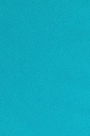 Paloma Elsesser attends Tiffany & Co. Celebrates 2018 Tiffany Blue Book Collection at Studio 525 on October 9, 2018 in New York City.  Photo by Dimitrios Kambouris/Getty Images