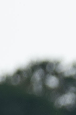 Mexico President Manuel Lopez Obrador and El Salvador President Nayib Bukele wave during a joint press conference launching the Planting Life initiative on June 20 in the Military Nursery of Tapachula in Chiapas, Mexico. Photo by Toya Sarno Jordan/Getty Images