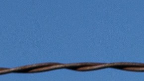Activists from Yakima Immigrant Response Network wave flowers, hold a banner, and chant as U.S. Immigration and Customs Enforcement (ICE) detainees are loaded onto a Swift Air charter flight at McCormick Air Center on February 18, 2020 in Yakima, Washington. Photo by David Ryder/Getty Images