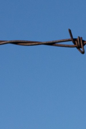 Activists from Yakima Immigrant Response Network wave flowers, hold a banner, and chant as U.S. Immigration and Customs Enforcement (ICE) detainees are loaded onto a Swift Air charter flight at McCormick Air Center on February 18, 2020 in Yakima, Washington. Photo by David Ryder/Getty Images