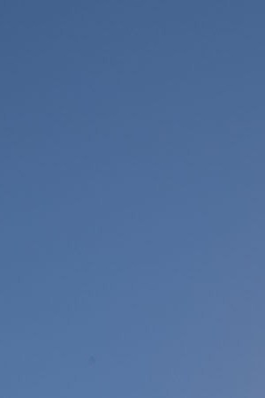 A demonstrator looks on next to a fountain dyed with red ink during a rally on International Women's Day on March 8, 2020 in Mexico City, Mexico. Photo by Toya Sarno Jordan/Getty Images