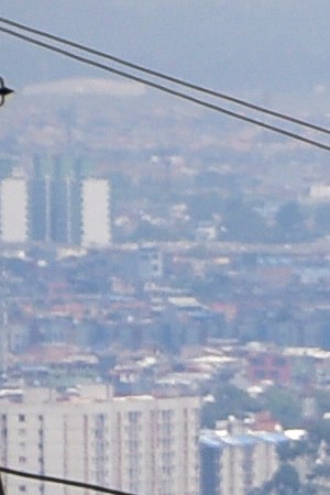 Panoramic view of part of the city during the first day of national quarantine to stop the spread of COVID-19 on March 25, 2020 in Bogota, Colombia. Photo by Guillermo Legaria/Getty Images