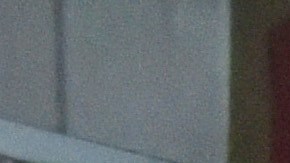 A vendor wearing a protective mask as a precaution against the spread of COVID-19 arranges flowers in her stall at the Paloquemao market on March 30, 2020 in Bogota, Colombia. Colombia started a national quarantine on March 25 until April 13 to control spread of COVID-19. Photo by Guillermo Legaria/Getty Images