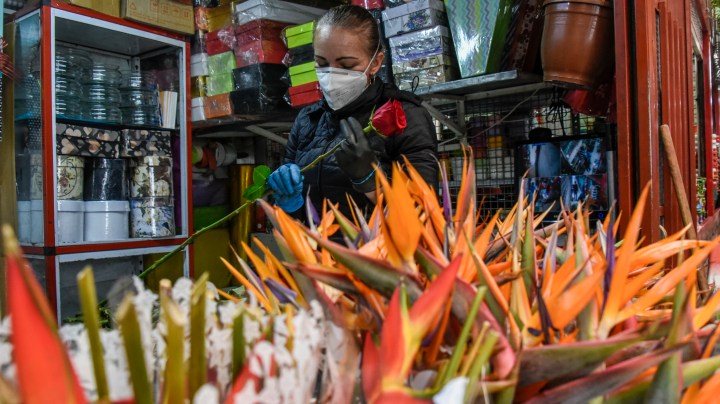 A vendor wearing a protective mask as a precaution against the spread of COVID-19 arranges flowers in her stall at the Paloquemao market on March 30, 2020 in Bogota, Colombia. Colombia started a national quarantine on March 25 until April 13 to control spread of COVID-19. Photo by Guillermo Legaria/Getty Images