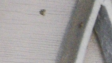 A woman wearing a face mask waits at the door of her house to receive food aid as Colombian military visit the impoverished slum at El Codito neighbourhood  handing out family food baskets during government-ordered obligatory quarantine on April 23, 2020 in Bogota, Colombia. Photo by Guillermo Legaria/Getty Images