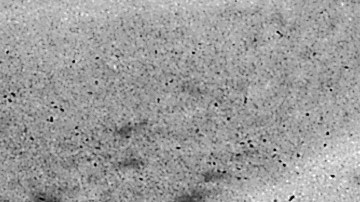 American actors Burt Ward (left), as Robin, and Adam West, as Batman, ride in the Batmobile in a still from the television series, 'Batman,' c. 1967. Photo by 20th Century Fox/Courtesy of Getty Images