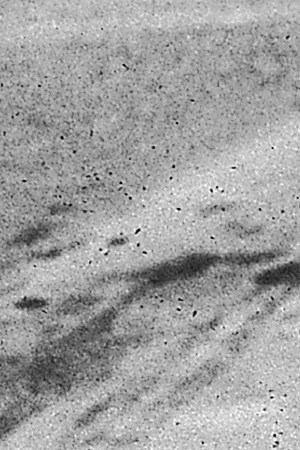 American actors Burt Ward (left), as Robin, and Adam West, as Batman, ride in the Batmobile in a still from the television series, 'Batman,' c. 1967. Photo by 20th Century Fox/Courtesy of Getty Images