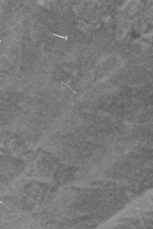 A Sunday market in Pisac, Peru circa 1950.  Photo by Three Lions/Getty Images