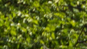 Demonstrators block traffic on H Street during a rally in support of the Deferred Action for Childhood Arrivals (DACA) program after the Trump Administration announced its plan to end the program on September 5, 2017 in Washington, DC. Photo by Zach Gibson/Getty Images