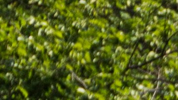 Demonstrators block traffic on H Street during a rally in support of the Deferred Action for Childhood Arrivals (DACA) program after the Trump Administration announced its plan to end the program on September 5, 2017 in Washington, DC. Photo by Zach Gibson/Getty Images