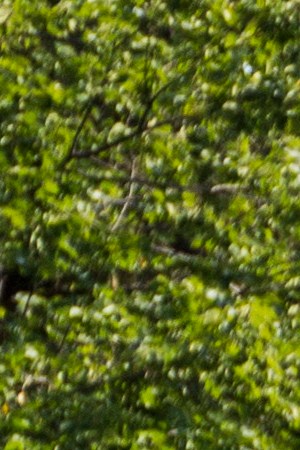 Demonstrators block traffic on H Street during a rally in support of the Deferred Action for Childhood Arrivals (DACA) program after the Trump Administration announced its plan to end the program on September 5, 2017 in Washington, DC. Photo by Zach Gibson/Getty Images