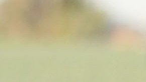 Mexican-American farm workers harvest broccoli March 12, 2009 near El Centro, California. El Centro is suffering the highest unemployment rate in the nation at 22.6 percent, nearly as high as rates during the Great Depression, with Latinos especially being hit hard. Photo by David McNew/Getty Images