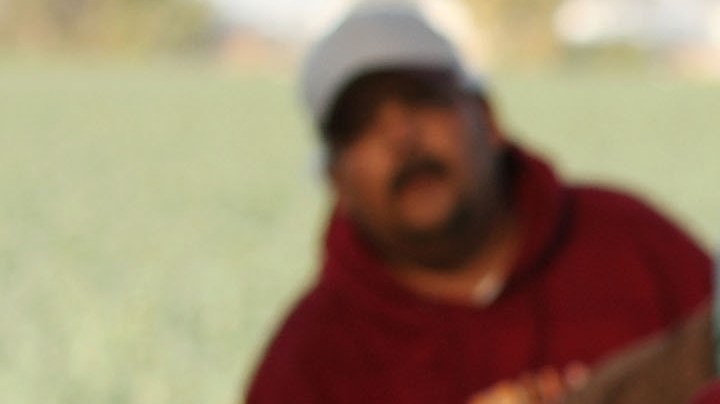 Mexican-American farm workers harvest broccoli March 12, 2009 near El Centro, California. El Centro is suffering the highest unemployment rate in the nation at 22.6 percent, nearly as high as rates during the Great Depression, with Latinos especially being hit hard. Photo by David McNew/Getty Images