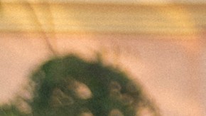 Photo by Daniella Murillo. Courtesy of the artist