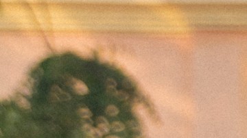 Photo by Daniella Murillo. Courtesy of the artist