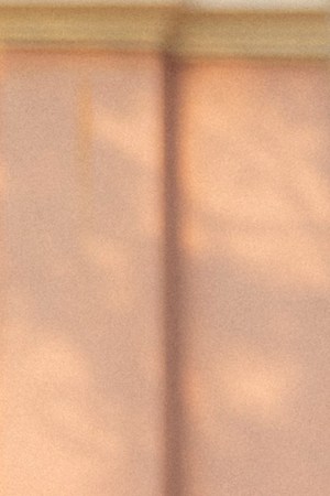 Photo by Daniella Murillo. Courtesy of the artist