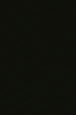 Photo courtesy of the artist