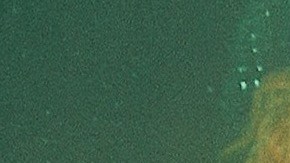 Photo by Zanah Marie. Courtesy of the artist