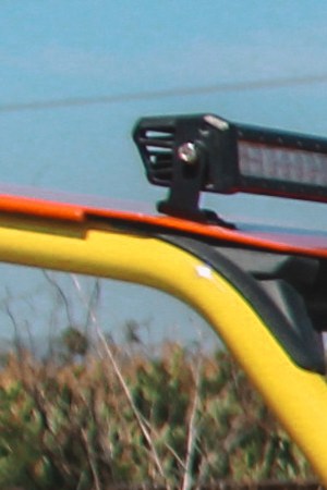 Photo by Caitlin Donohue. Courtesy of the artists